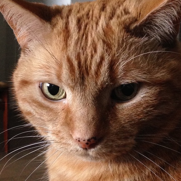 Meet your Posher, Kristine - Picture 1 of 1